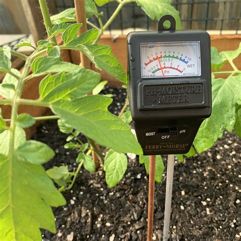 ferry morse soil moisture meter|How to Use a 3.